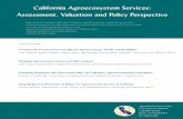 California Agroecosystem Services: Assessment, Valuation ...aic.ucdavis.edu/research/sustainability/agro... · • Capacity building for integrated assessment throughout this process.