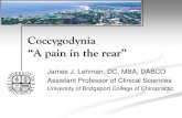 Coccygodynia “A pain in the rear”...pain and hypertonicity. 35. Identify the myofascial trigger points and treat with myofascial trigger point releases. 36. Apply gentle but firm