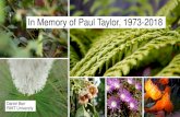 Paul Taylor, 1973-2018 - wcrif.org · In Memory of Paul Taylor, 1973- 2018 Daniel Barr RMIT University . Researcl)lnpegrity . ference . ail 2017 . ONG C ORS . Title: Paul Taylor,