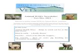 Your Animal Health Professionals - Animal WOFs Newsletter …lhvc.co.nz/wp-content/uploads/2014/12/Nov11a.pdf · 2015-02-01 · Animal WOFs Newsletter – Nov/Dec 2011 – Welcome