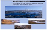 Front cover: view from Great Brewster Island (©Sherman Morss, … · 2007-07-19 · Front cover: view from Great Brewster Island (©Sherman Morss, Jr.); smaller images ... Table