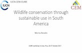 Wildlife conservation through sustainable use in South America · Bolivia* 3384 4.3 67278 19.31 18.88 Chile 6124 7.8 14455 4.15 1.36 Ecuador -- -- 3197 0.92 Perú 65000 82.3 256216