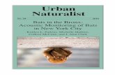 Urban Naturalist · 1 20162016 URBAN NATURALIST No. 10:1–16 10 Bats in the Bronx: Acoustic Monitoring of Bats in New York City Kaitlyn L. Parkins1,*, Michelle Mathios1, Colleen