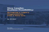 New Leader, Endless Possibility...WOI PPE 3 New Leader, Endless Possibility: Bringing a Legacy Organization into a New Era1 A consultant and an organization meet up On February 14,