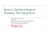 Studies: the big picture Bias in Epidemiological€¦ · Epidemiology: Beyond the Basics. 2007. 14 Diseased Exposed + - +-REFERENCE POPULATION STUDY SAMPLE Biased sampling: Worried