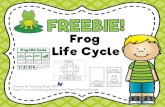 Frog Life Cycle - The Kindergarten Frog Life Cycle. Written by: Teaching Simply 2019 Graphics by: Sticky