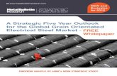 A Strategic Five Year Outlook for the Global Grain …A Strategic Five Year Outlook for the Global Grain Orientated Electrical Steel Market contains valuable analysis, recommendations,