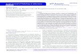 Austin Journal of Pathology & Laboratory Austin Medicine ... Anthropozoonosis has been well documented in trypanosomiasis. In the year 2006 a case of human trypanosomiasis caused by
