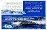 Precisamos da sua ajuda para encontrar as baleias! · de baleias do Oceano Austral usando técnicas não letais tais como foto-identificação, genética e marcação por satélites.
