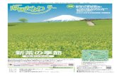 譛 邨ら畑 - Shizuoka Prefecture · 2018-10-11 · 28年3月卒業予定の大学（院）、短大、高 専、専修学校等の学生（卒業後3年以内の 方を含む）