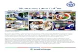 Bluestone Lane Coffee Promo Page - Bluestone Lane.pdf · they can provide assistance to Bluestone Lanes Locals. As well as interacting with customers, servers also have the opportunity