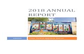 2018 Annual Report 20190307 · 3/7/2019  · 1 Texas Comptroller of Public Accounts Biennial Property Tax Report‐Tax Years 2014 and 2015, Issued December 2016 2 Texas Comptroller