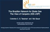 The Brazilian Network for Shale Gas The View of Cenpetro ... · The Brazilian Network for Shale Gas The View of Cenpetro (IEE-USP) Colombo C. G. Tassinari and Ildo Sauer FAPESP-NERC