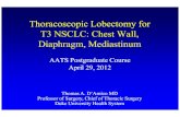 Thoracoscopic Lobectomy for T3 NSCLC: Chest Wall, Diaphragm, …az9194.vo.msecnd.net/pdfs/120401/04.50.pdf · 2012-05-25 · Petersen RP, D’Amico TA. Ann Thorac Surg 2006;Petersen
