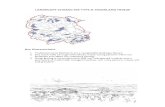 D Moorland fringe - Lancashiremario.lancashire.gov.uk/foblca/D.pdf · 1.1.2 The transitional rolling enclosed landscape of the Moorland Fringe skirts the edges of the Moorland Hills,
