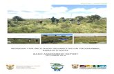 WORKING FOR WETLANDS REHABILITATION PROGRAMME, …...WORKING FOR WETLANDS REHABILITATION PROGRAMME, KWAZULU-NATAL BASIC ASSESSMENT REPORT OCTOBER 2019. Project 113223 File WfW KZN_2019_Draft