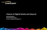 Visions of Textiles and Beyond - Home - Sensient...T-Shirt Home furnishing 4 Textile printing, technologies 5 Traditional Textile Printing* 30 Billion m 2(2014) Growth 2.5%/year Digital