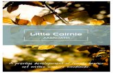 Little Cairnie - Property Development€¦ · type, bespoke design option available Bathroom & Ensuite • Contemporary sanitaryware and designer taps • Vanity units with choice