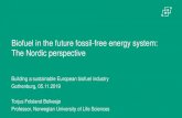 Biofuel in the future fossil-free energy system: The ... · Biofuel in the future fossil-free energy system: The Nordic perspective Building a sustainable European biofuel industry