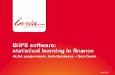 BiiPS software: statistical learning in financepeople.bordeaux.inria.fr/pierre.delmoral/ALEA_RII.pdf · Context The last two decades have seen a rapid development of increasingly