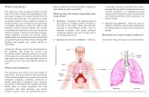 What is lung cancer? What are the risk factors associated with lung cancer?shaukatkhanum.org.pk/.../10/Medical-Oncology-Lung-Cancer.pdf · 2016-10-15 · What are the risk factors