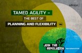 TAMED AGILITY · organisational unit – DevOps. In addition to organisational issues, the keywords “continuous integra - tion” and “continuous delivery” also speak to certain