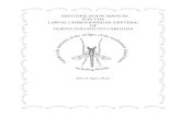 IDENTIFICATION MANUAL FOR THE LARVAL CHIRONOMIDAE …johnepler.com/SEMidges.pdf · 2015. 11. 22. · IDENTIFICATION MANUAL FOR THE LARVAL CHIRONOMIDAE (DIPTERA) OF NORTH AND SOUTH