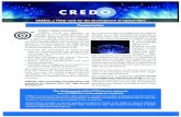 CREDO, a Think-tank for the development of optical fibre · Presentation CREDO, a Think-tank for the development of optical fibre. Through its publications, CREDO issues recommendations,