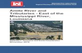 Amite River and Tributaries - East of the Mississippi …...Appendix F - Economic and Social Consideration November 2019 Amite River and Tributaries - East of the Mississippi River,
