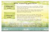 Wise watering practices - Brewer Park Community …...Continue flyer text here. Continue flyer text here. Continue flyer text here. How to water Much of the water used in Brewer Park