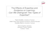 The Effects of Expertise and Guidance on Learning: Can We ...andre.tricot.pagesperso-orange.fr/AmadieuTricot... · Level of Expertise: Novices vs Experts ŁNovices need a strong guidance