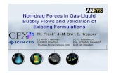 Non-drag Forces in Gas-Liquid Bubbly Flows and Validation ...€¦ · 30. June 2004 Joined FZR & CFX Workshop on Multiphase Flows: Simulation, Experiment & Application, Dresden, Germany