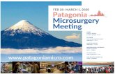 Patagonia Microsurgery Meeting€¦ · great opportunity to share knowledge and experiences. We have confirmed the participation of outstanding professors, leading microsurgeons worldwide,