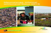 INORMAL SETTLEMENTS IN MPUMALANGA AUGUST …thehda.co.za/.../HDA_Mpumalanga_Report_lr2.pdf · INORMAL SETTLEMENTS IN MPMALANGA - AGST 2013 RESEARCH REPORT In terms of the HDA Act