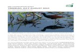 BIRD TOURISM REPORTS 8/2015 TRINIDAD, JULY ......BIRD TOURISM REPORTS 8/2015 TRINIDAD, JULY-AUGUST 2015 Petri Hottola (phottola@gmail.com) Fig. 1. Wattled Jacanas are widespread at