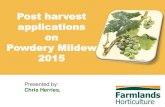 Post harvest applications on Powdery Milde · Powdery Mildew 2015 Presented by: Chris Herries, Block chosen with high level of PM Pinot gris, Hawke’s Bay ... PowerPoint Presentation