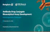 Antibody-Drug Conjugate Bioanalytical Assay Development€¦ · Immunogenicity assays should be capable of detecting antibodies directed against all domains Ø Domain characterization