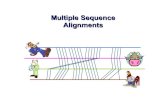 Multiple Sequence Alignments - unibo.it â€¢ Find pairwise alignment â€¢ Trial multiple alignment produced