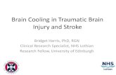 Brain Cooling in Traumatic Brain Injury and Stroke cooling in TBI a… · Brain cooling –nasal/pharyngeal cooling and external head cooling –rationale – Brain cooling has fewer