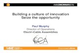 Building a culture of innovation Seize the opportunity · Building a culture of innovation Seize the opportunity Paul Murphy Director of Operations Electri-Cable Assemblies. 1. Building