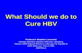 What Should we do to Cure HBV - Virology Educationregist2.virology-education.com/2014/3acha/1_Locarnini_E.pdf · Outline of Presentation . 1. HBV Virology 2. Current Treatment Challenges