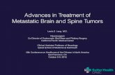 Advances in Treatment of Metastatic Brain and Spine Tumors · Alimi et al. Minimally invasive foraminotomy through tubular retractors via a contralateral approach in patients with