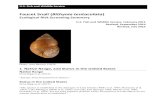 Faucet Snail (Bithynia tentaculata) ERSS€¦ · located very close to the aperture of the shell (Jokinen 1992). The animal itself has pointed, long tentacles and a simple foot with