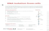 RNA isolation from cells - Stratech...Benefits The InviTrap® Spin Cell RNA Mini Kit is a powerful tool for the isolation of pure total RNA from human or animal cells, bacteria and