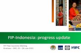 FIP-Indonesia: progress update · 9. Field visit and consultation (13-18 Feb 2015) 10. Interim Workshop (25 March 2015) 11. Field visit and discussion with local stakeholders (April