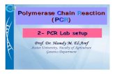 Polymerase Chain Reaction - Assiut University Lab...Polymerase Chain Reaction (PCR) Prof. Dr. Hamdy M. El-Aref Assiut University, Faculty of Agriculture Genetics Department 2- PCR