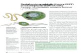 Serial endosymbiotic theory (SET) and composite individuality · the origin of the nucleus. We reconstruct the transition from the earliest prokaryotic (bacterial level of organi-zation)
