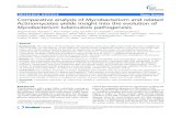 RESEARCH ARTICLE Open Access Comparative analysis of ... · Mycobacterium tuberculosis F11 (ExPEC) Y Y Causes TB; isolated from TB patient in S. Africa [5] Mycobacterium bovis BCG