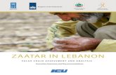 ZAATAR IN LEBANON€¦ · goods, such as Zaatar honey (honey produced near Zaatar fields, and characterized by its particular taste); ... benefits in terms of water-use efficiency