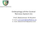 Embryology of the Central Nervous System (1)...Embryology of the Central Nervous System (1) E-mail: a.al-nuaimi@sheffield.ac.uk E. mail: abdulameerh@yahoo.com Prof. Abdulameer Al-Nuaimi